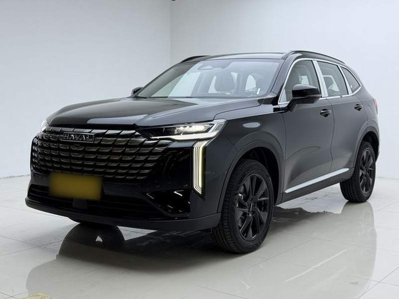 Used Haval H6 2024 1.5T Two-Wheel Drive Max — 1
