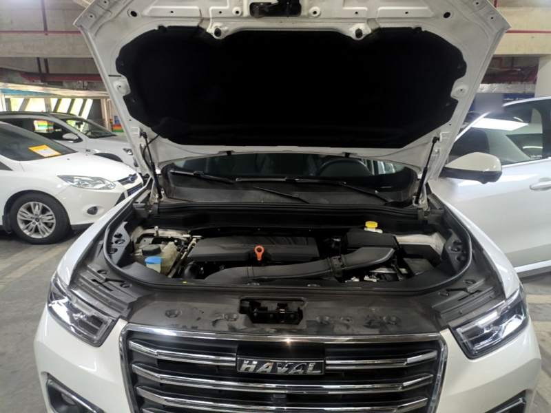 Used Haval H6 2020 1.5 GDIT Automatic Platinum Champion Edition — 19
