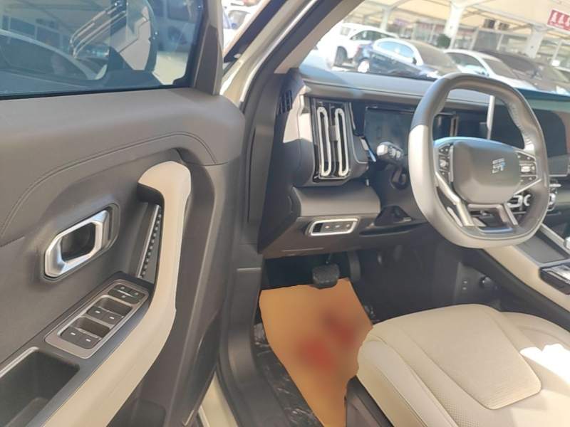 Used JETOUR Shanhai T1 2025 150 km to the Lake — 15