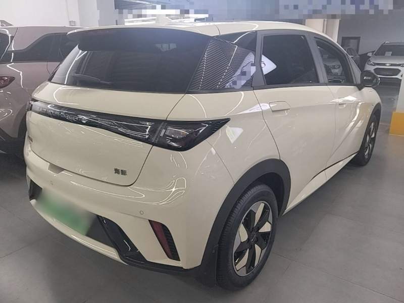 Used BYD Dolphin 2025 420km Free Edition — 6