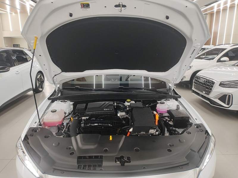 Used BYD Qin PLUS 2024 HONOR Edition DM-i 55KM Leading Model — 19