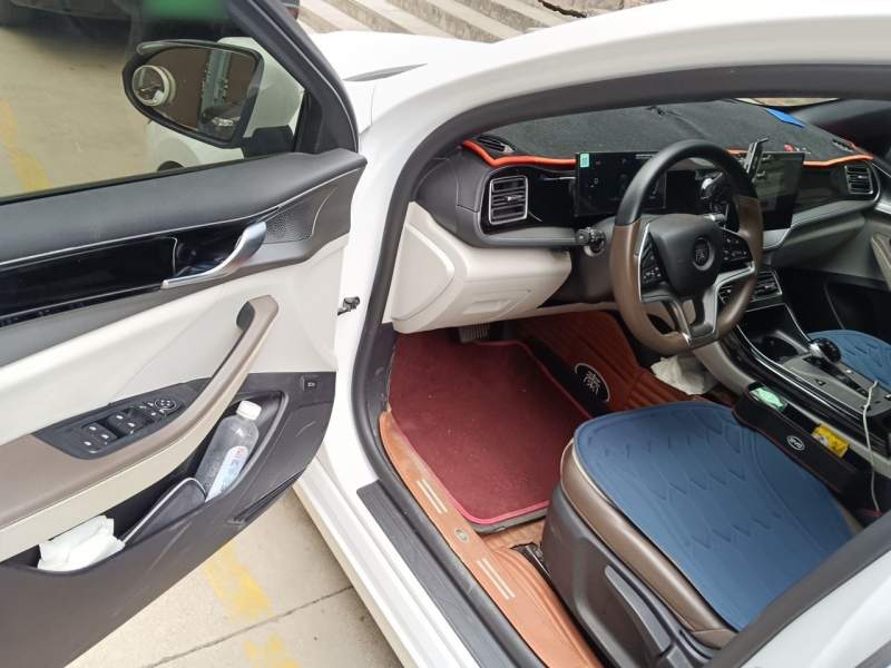 Used BYD Qin PLUS 2024 Honor Edition EV 510KM Leading Model — 20