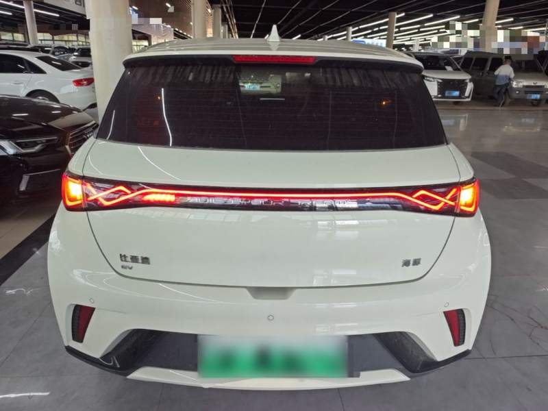 Used BYD Dolphin 2025 420km Active Version — 5