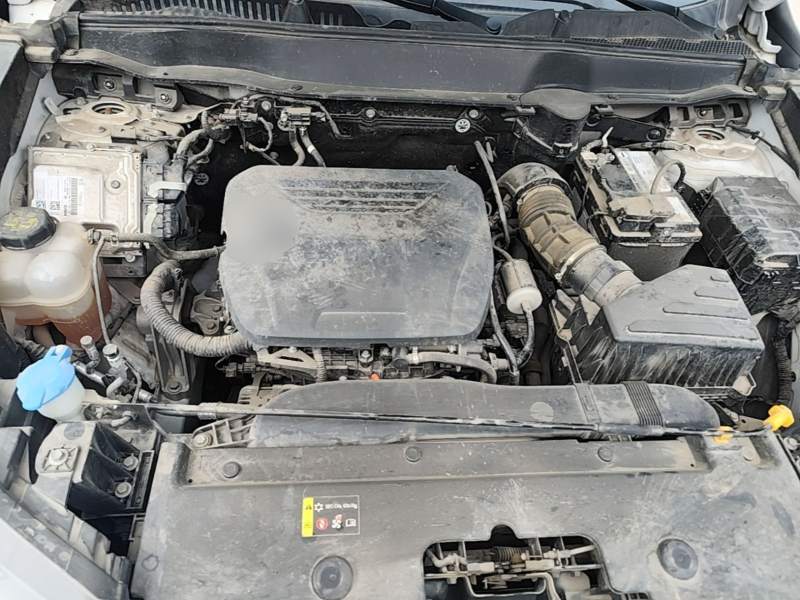Used Haval H6 2022 3rd Generation 1.5T Automatic Two-Wheel Drive Max — 19