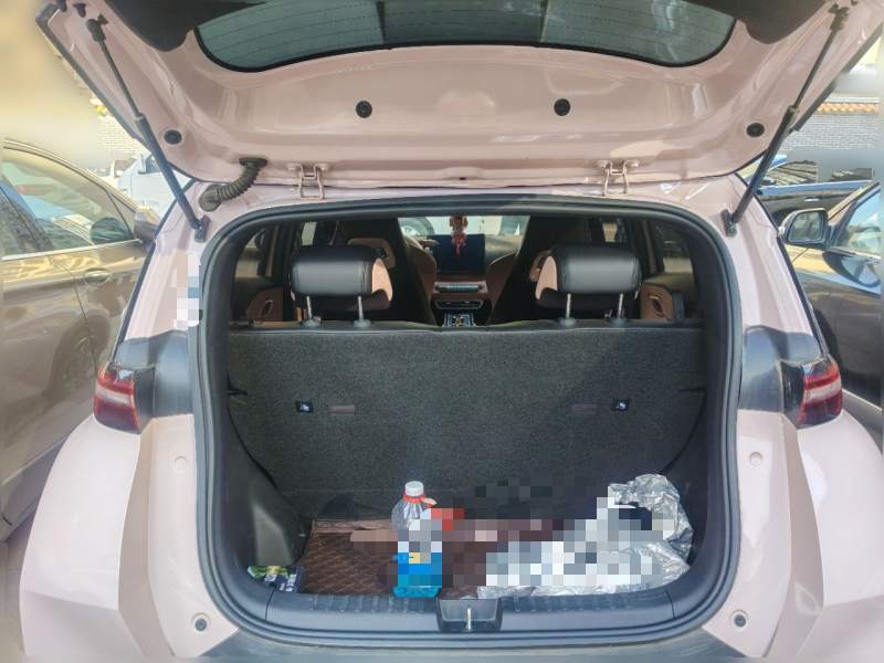 Used BYD Seagull 2024 Honor Edition 305km Freedom Version — 20