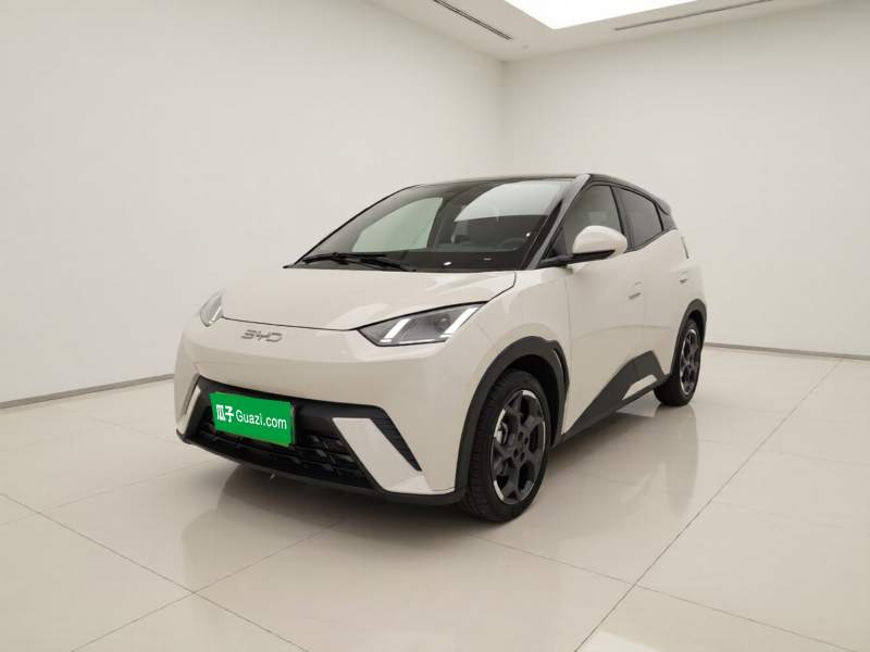 Used BYD Seagull 2024 Honor Edition 305km Freedom Version