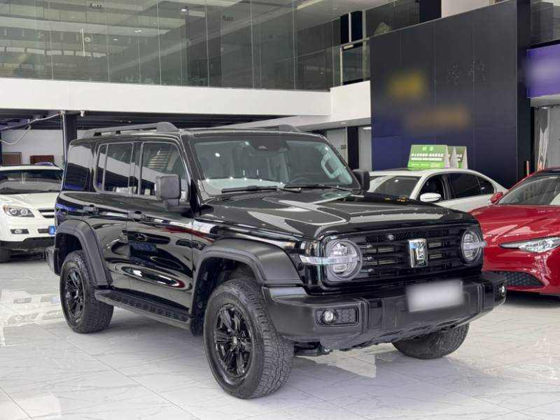 Used Tank 300 2024 2.0T Conqueror — 29