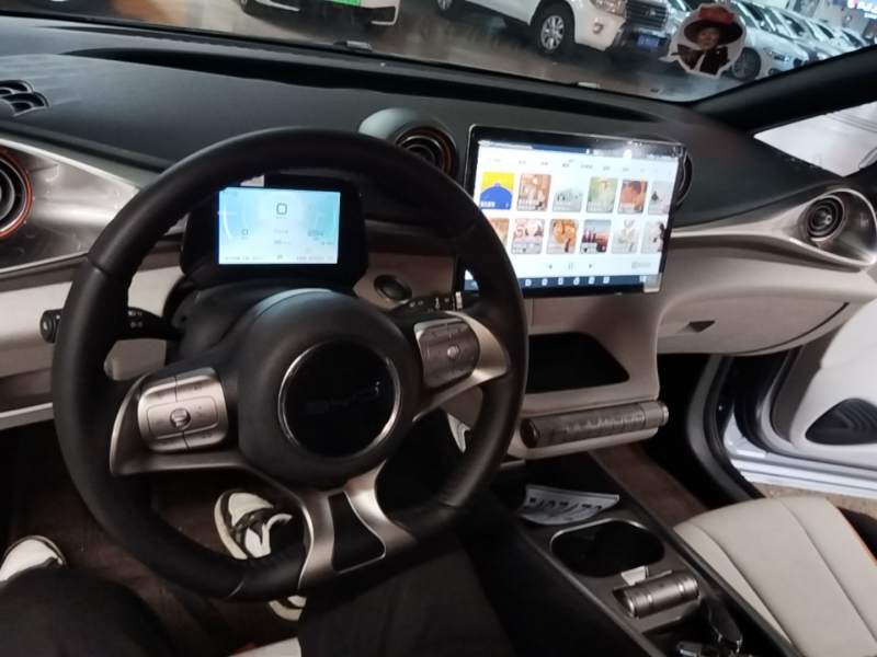 Used BYD Dolphin 2021 405 km Fashion Edition — 9