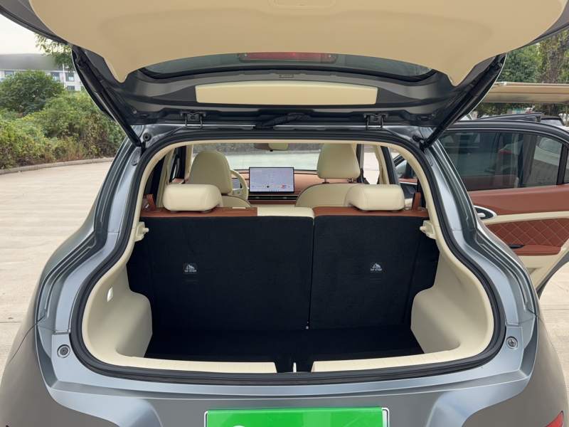Used ORA Good Cat 2025 Model, 430 km Prestige Version — 19