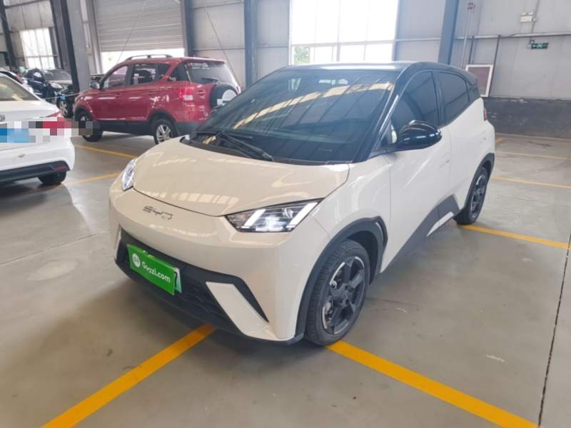 Used BYD Seagull 2023 Flying Edition