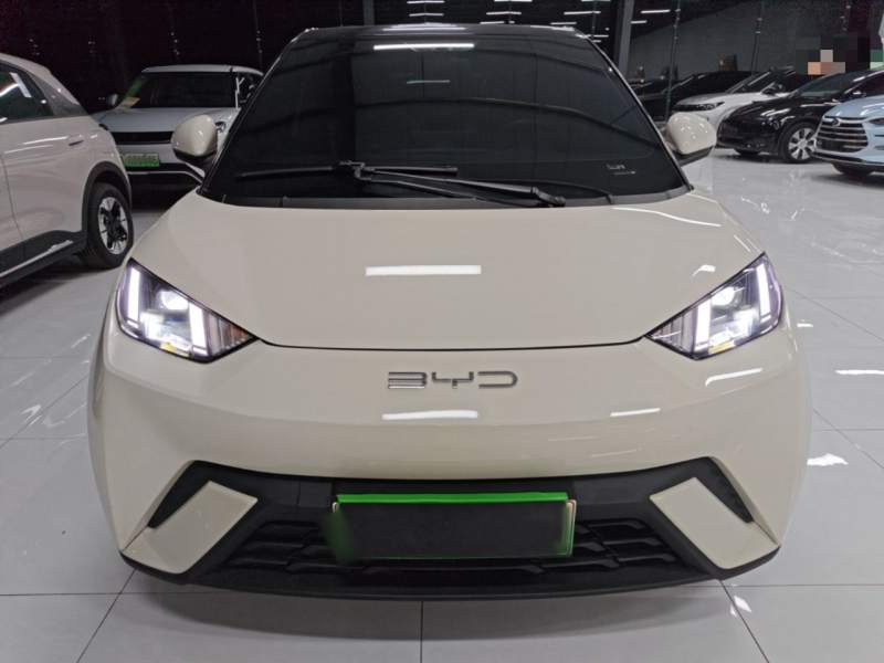 Used BYD Seagull 2023 Free Edition — 2