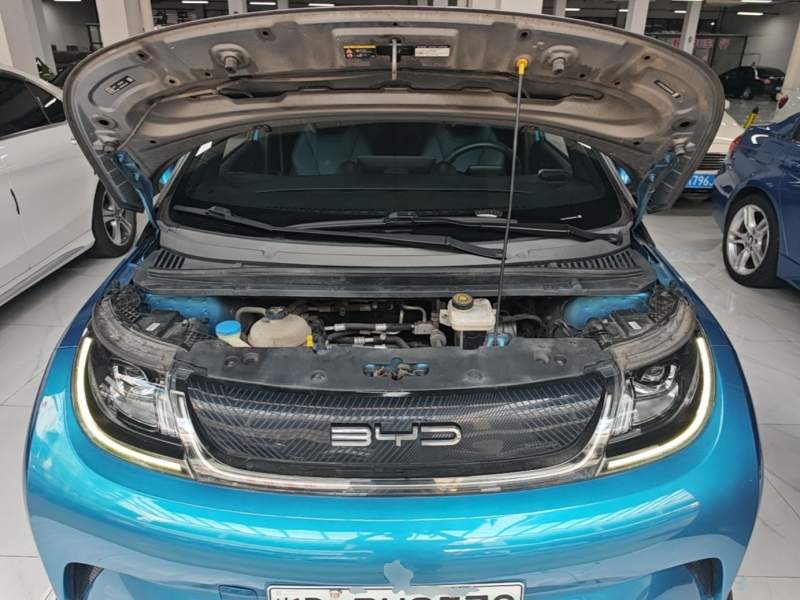 Used BYD Dolphin 2021 401km Knight Edition — 19