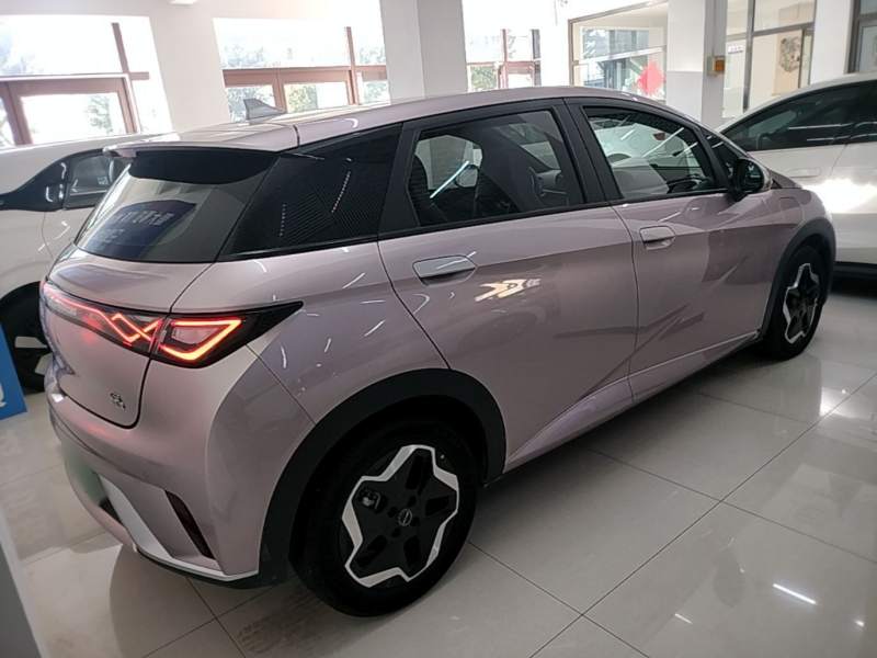 Used BYD Dolphin 2021 405 km Fashion Edition — 6