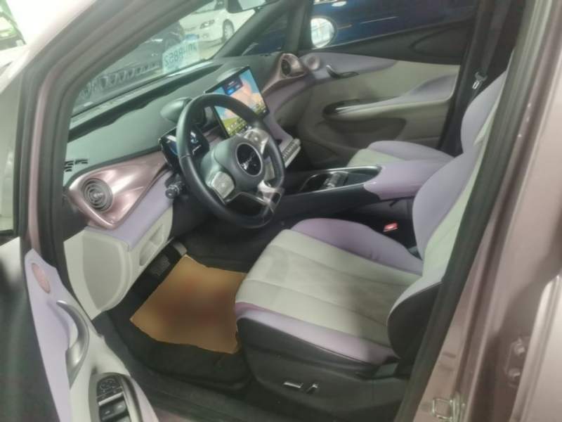 Used BYD Dolphin 2023 420 km Free Version — 14