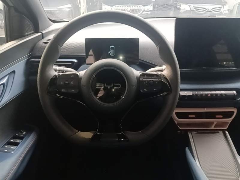 Used BYD Seagull 2024 Honor Edition 305km Dynamic Version — 10