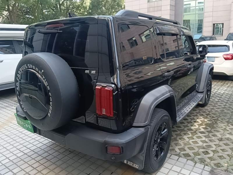 Used Tank 300 2021 Off-Road Edition 2.0T Conqueror — 6