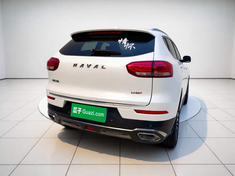 Used Haval H6 2020 2.0 GDIT Automatic Platinum Champion Edition — 15