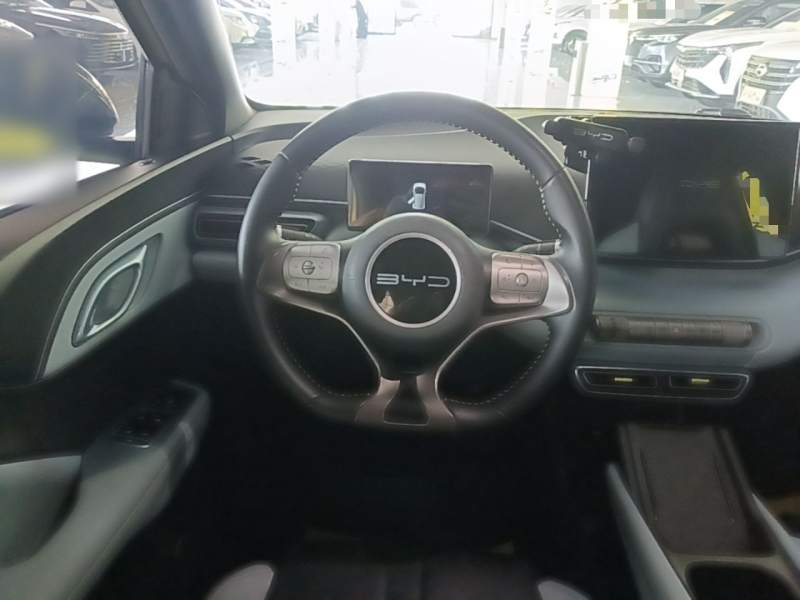 Used BYD Seagull 2023 Free Edition — 10
