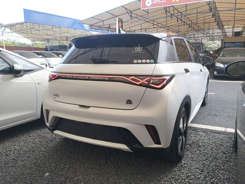 Used BYD Dolphin 2023 420 km Fashion Edition — 6