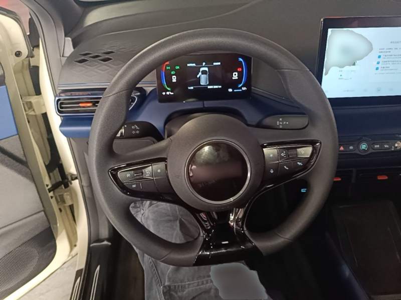 Used BYD Seagull 2025 Intelligent Driving Version 305 km Dynamic Edition — 10