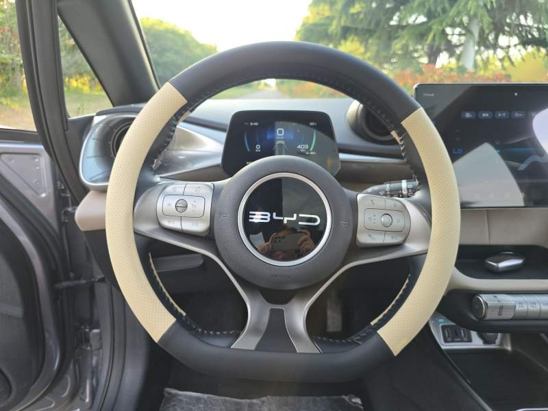 Used BYD Dolphin 2023 420 km Fashion Edition — 2