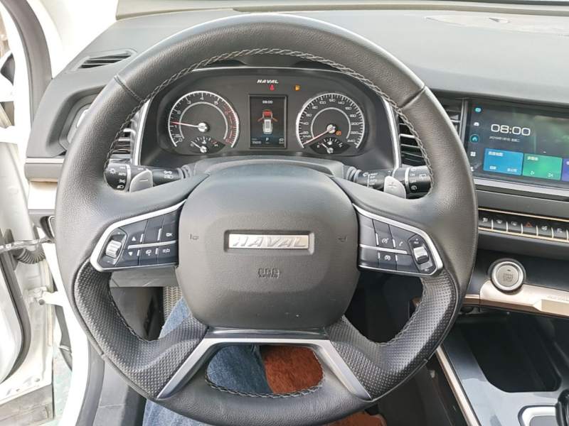 Used Haval H6 2021 1.5T Automatic Champion Edition — 10