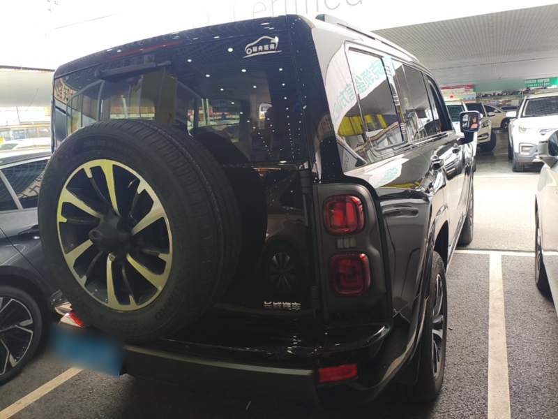 Used Haval H9 2024 2.0T Gasoline All-Wheel-Drive Extreme Edition — 6