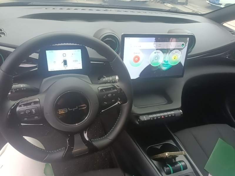 Used BYD Dolphin 2023 401km Knight Edition — 9