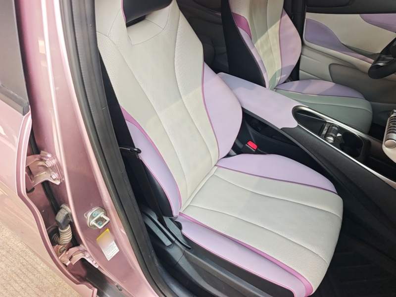Used BYD Dolphin 2023 420 km Free Version — 24