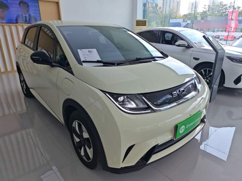 Used BYD Dolphin 2025 420km Free Edition — 3