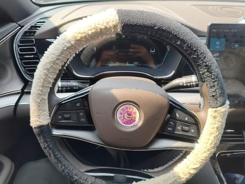 Used BYD Han 2020 DM Four-Wheel Drive Performance Edition Luxury Model — 10