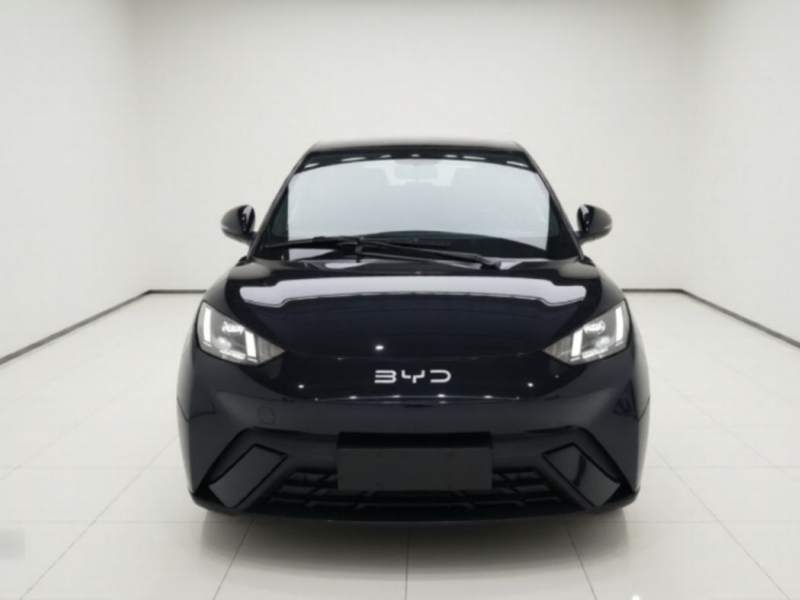 Used BYD Seagull 2023 Free Edition — 12