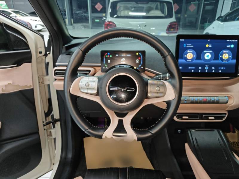 Used BYD Seagull 2023 Free Edition — 10