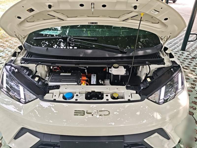Used BYD Seagull 2023 Free Edition — 19