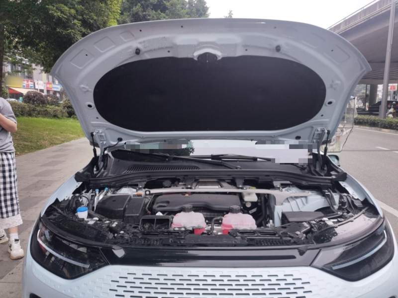 Used Leapmotor C11 2024 Range-Extended 300 Luxury Edition — 21
