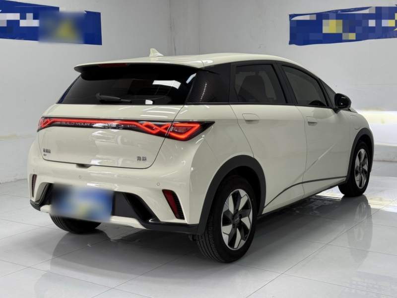 Used BYD Dolphin 2025 420km Free Edition — 15