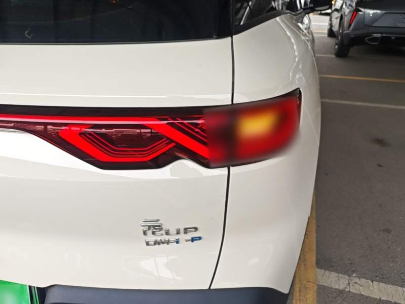 Used BYD Yuan UP 2025 Model 301KM Leading Version — 7