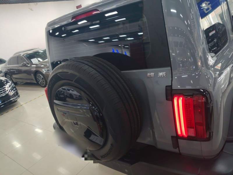 Used Tank 300 2021 Off-Road Edition 2.0T Conqueror — 5