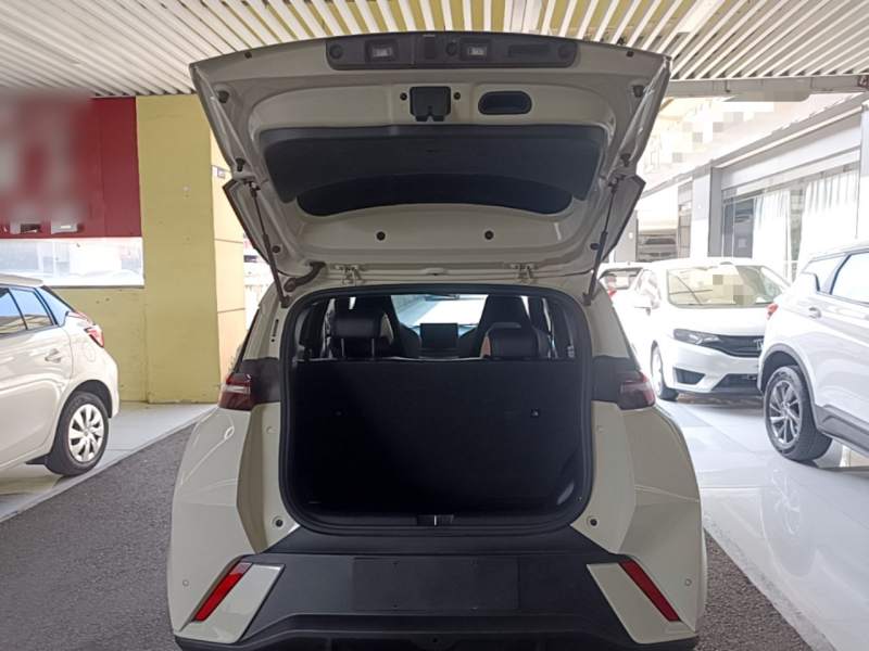 Used BYD Seagull 2023 Free Edition — 18