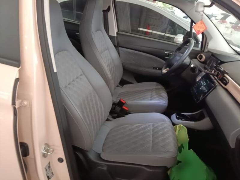 Used Leapmotor T03 2021 400 Luxury Edition — 24
