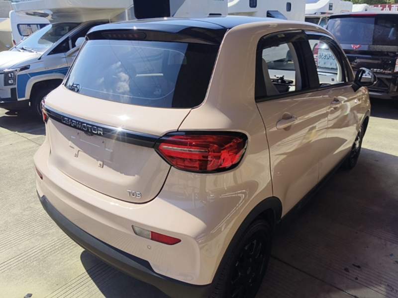 Used Leapmotor T03 2023 310 Lite Edition — 6