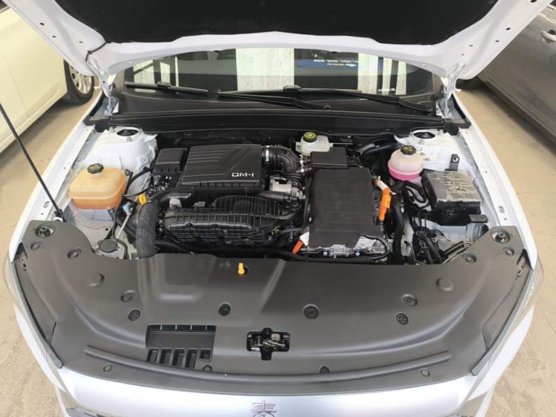 Used BYD Qin PLUS 2023 Champion Edition DM-i 55KM Superior Model — 19