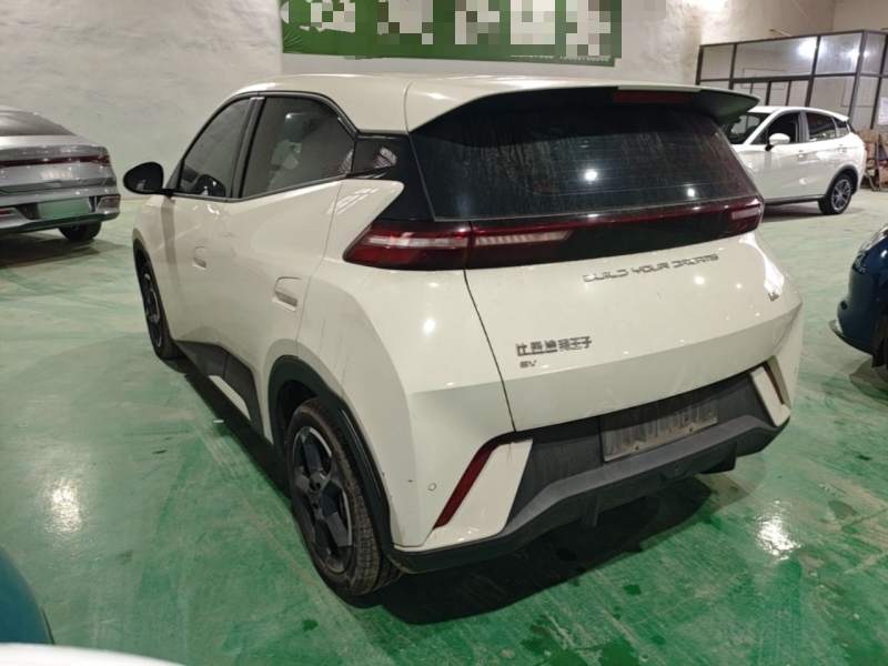 Used BYD Seagull 2023 Free Edition — 4