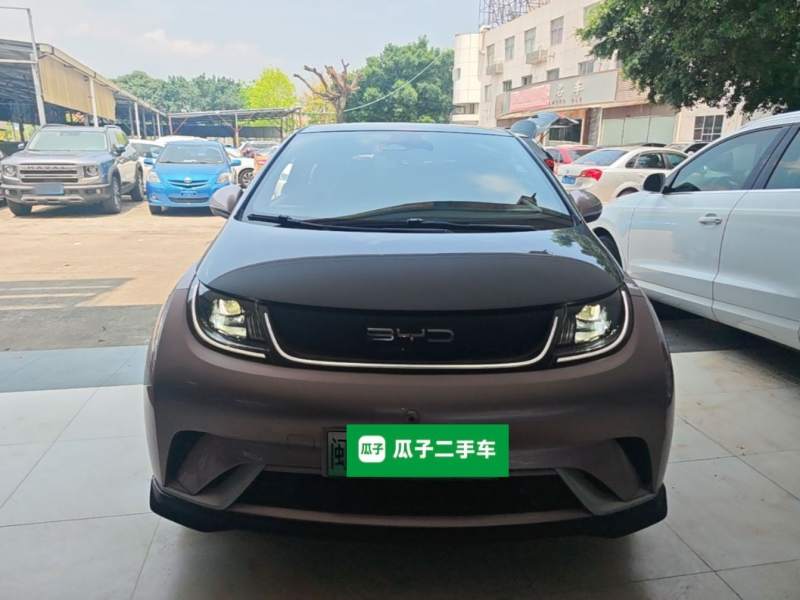 Used BYD Dolphin 2021 401km Knight Edition — 2