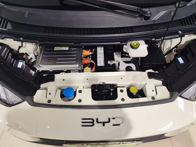 Used BYD Seagull 2024 Honor Edition 305km Dynamic Version — 19