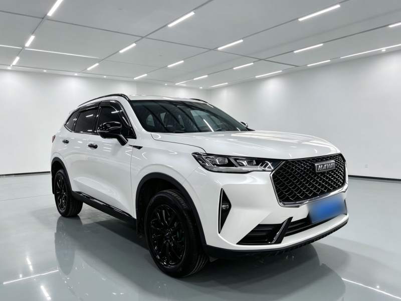 Used Haval H6 2021 3rd Generation 1.5T Automatic Two-Wheel Drive Max — 31