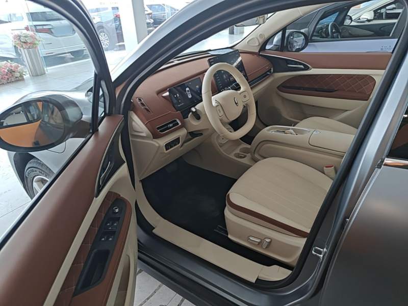 Used ORA Good Cat 2025 Model, 430 km Prestige Version — 15