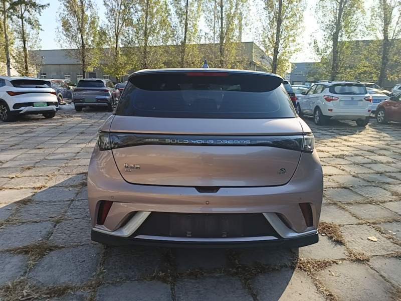 Used BYD Dolphin 2021 401km Knight Edition — 5