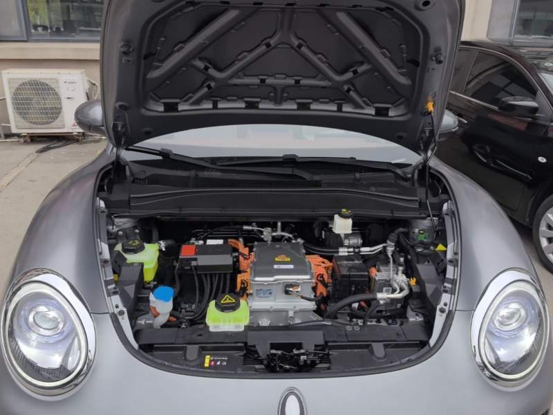 Used ORA Good Cat 2025 Model, 430 km Prestige Version — 19