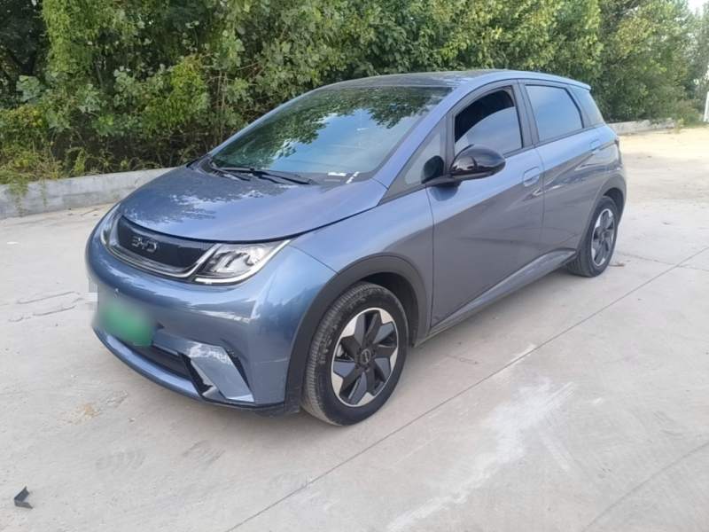 Used BYD Dolphin 2024 Honor Edition 420km Freedom Version